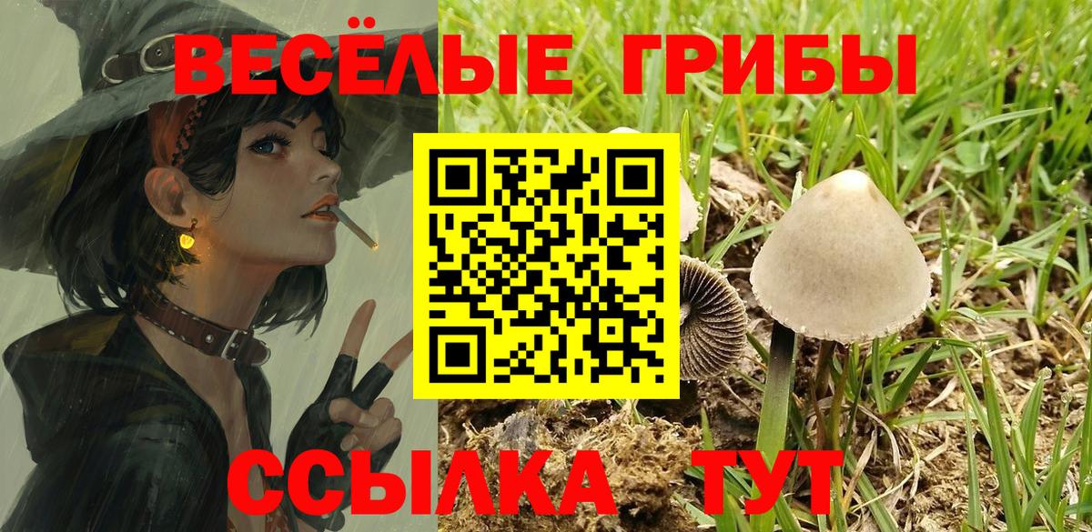 Псилоцибиновые грибы MAGIC MUSHROOMS  Вход с VPN  Кириши 